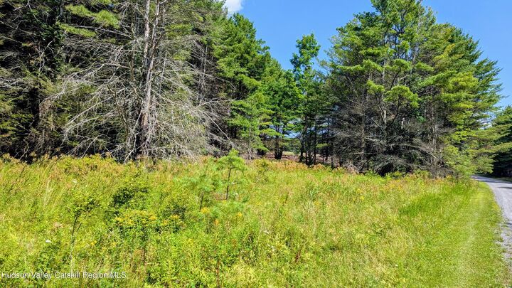 Property Photo:  82 Conifer Lake W  NY 12444 