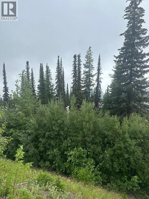 Photo de la propriété:  9890 Cathedral Drive  BC V1B 3M1 