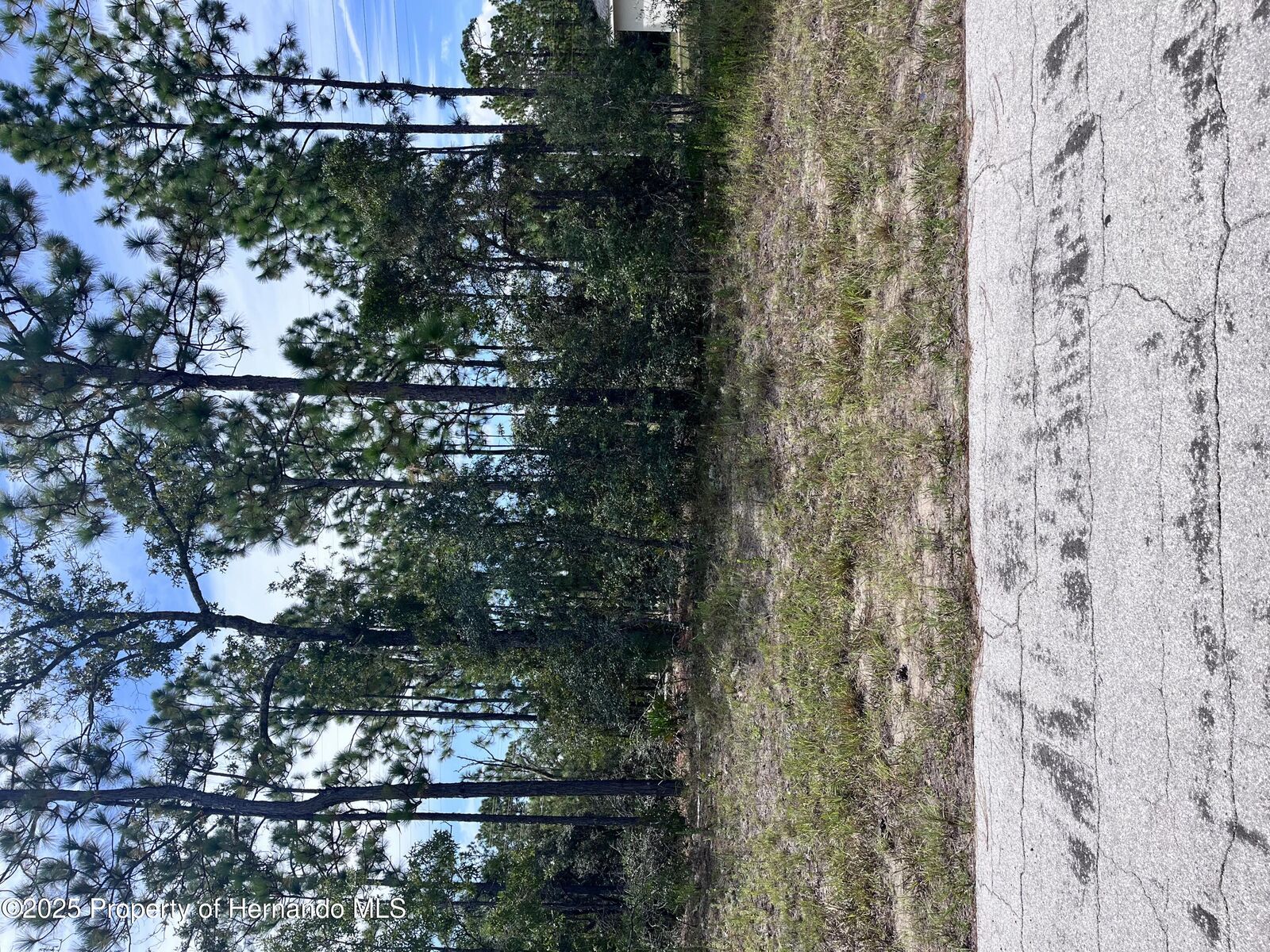 Property Photo: 2910 W Rutland Drive FL 00000
