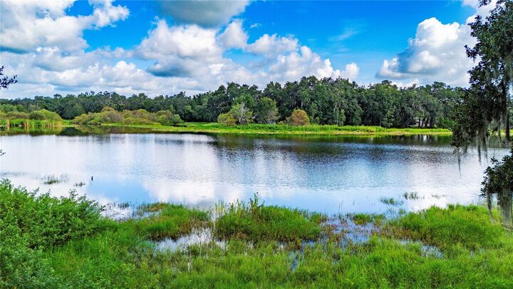 Property Photo: 34961 Easterling Road FL 33525