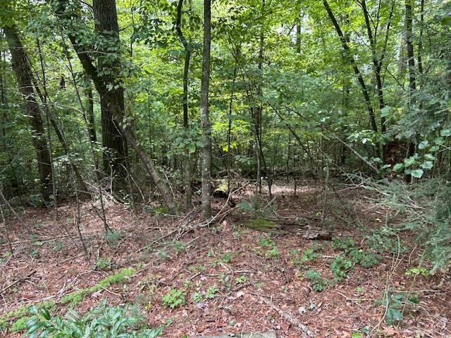 Property Photo:  Lt3729 Falcon Drive  GA 30540 