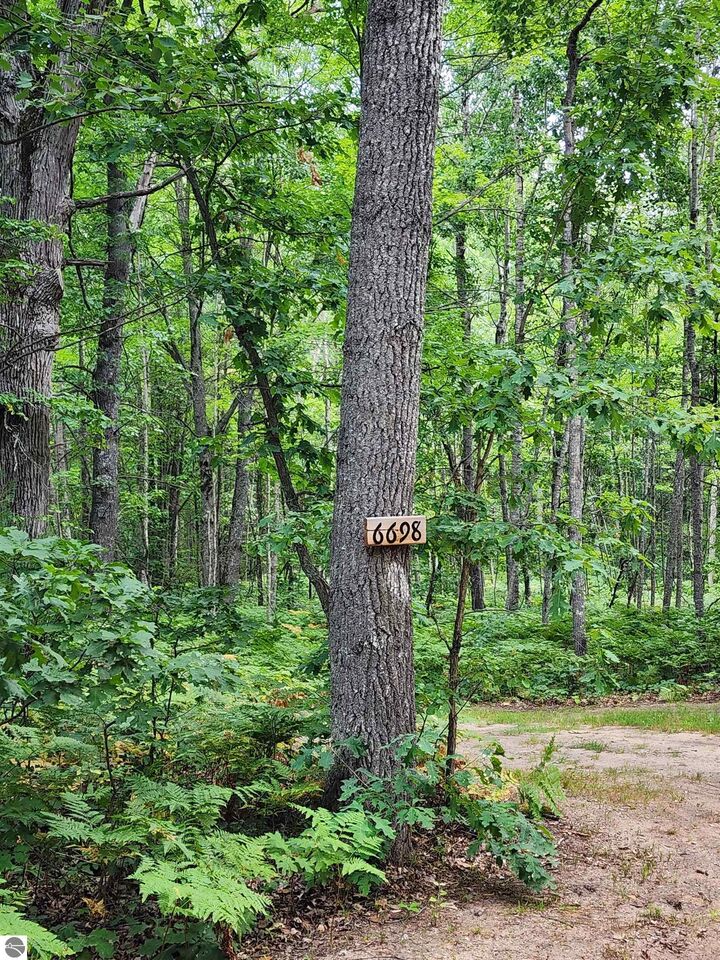 Property Photo:  6698 Birdsong Road  MI 48629 