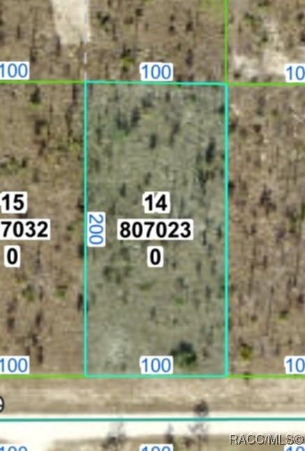 Property Photo: 0 Scissorbill Avenue FL 34614