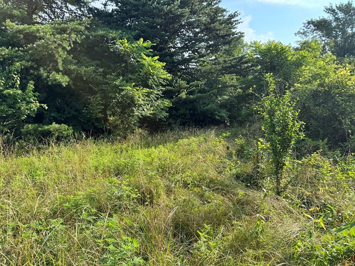 Property Photo: 279 Sheely Road OH 45628