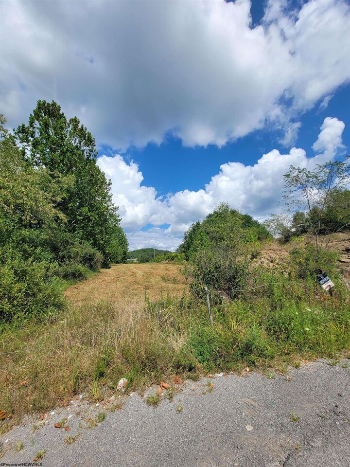 Property Photo: Tbd Rt. 219/250 Road WV 26241