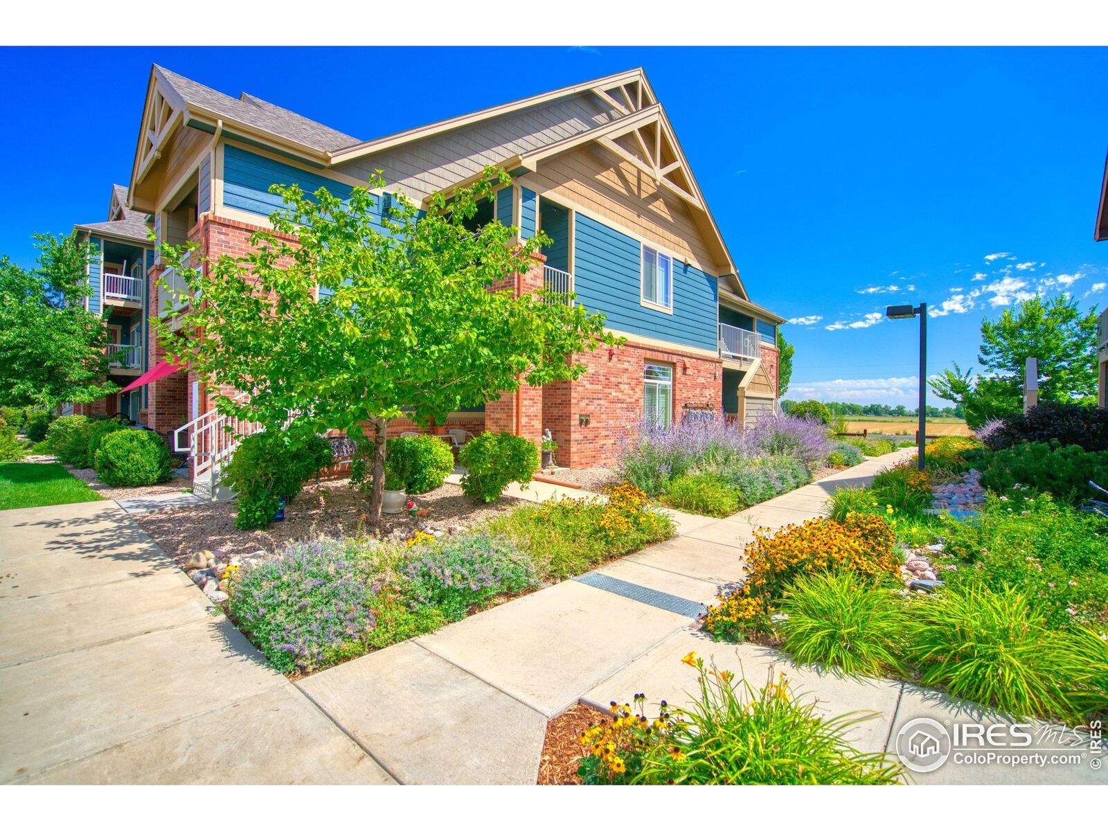 Property Photo:  804 Summer Hawk Dr 203  CO 80504 