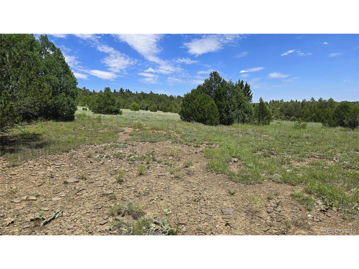 Property Photo: 20 Colorado Mountain Lake Estates CO 81082