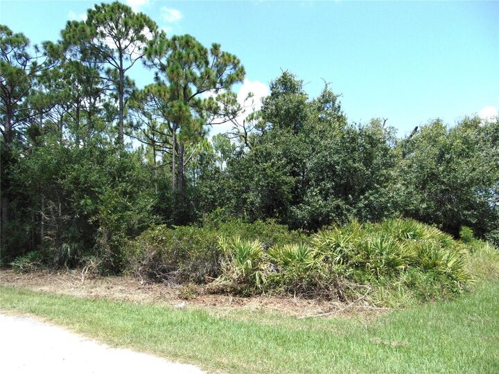 Property Photo:  23376 Corinne Avenue  FL 33980 
