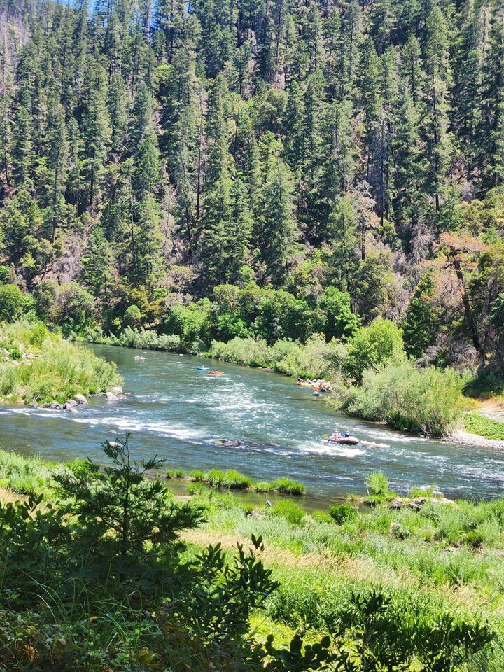 Property Photo: 12218 Galice Road OR 97532