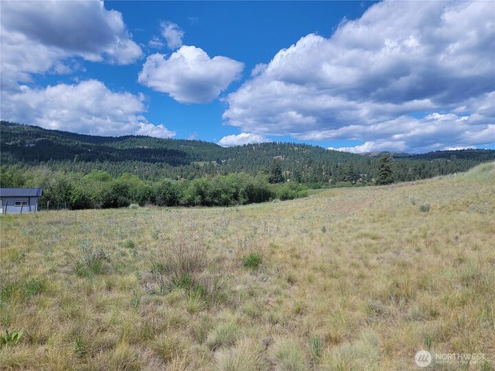 Property Photo:  0  Curlew Drive  WA 99166 