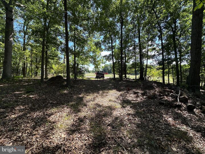 Property Photo: Lot 1B Double Church Road VA 22655