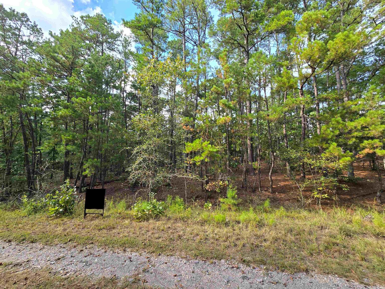 Property Photo: