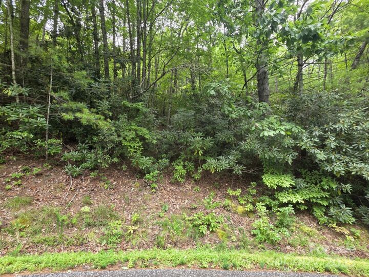 Property Photo: Lot 12 Deer Ridge Trail 12 NC 28752