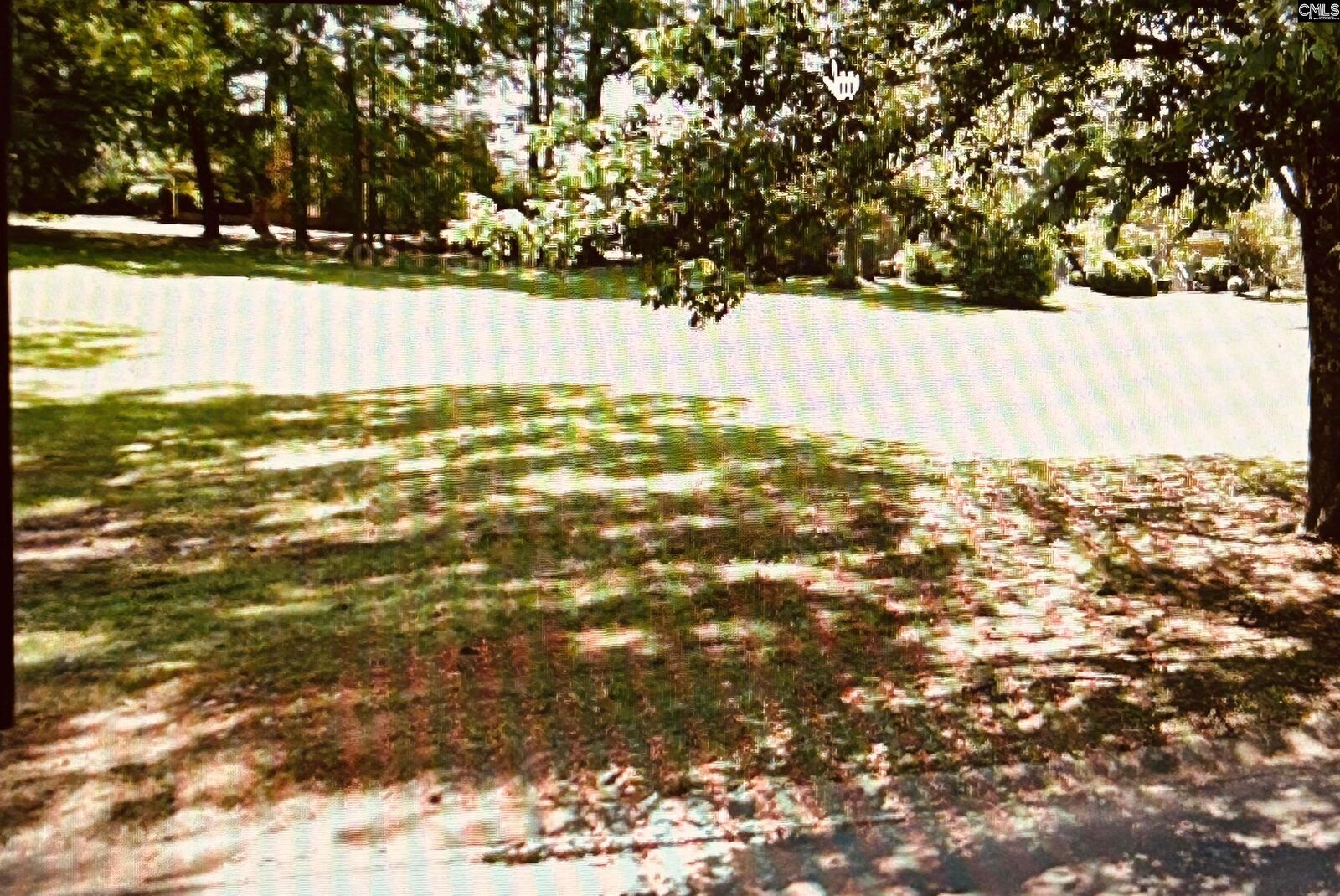 Property Photo: 0 Rutledge Place Road SC 29212