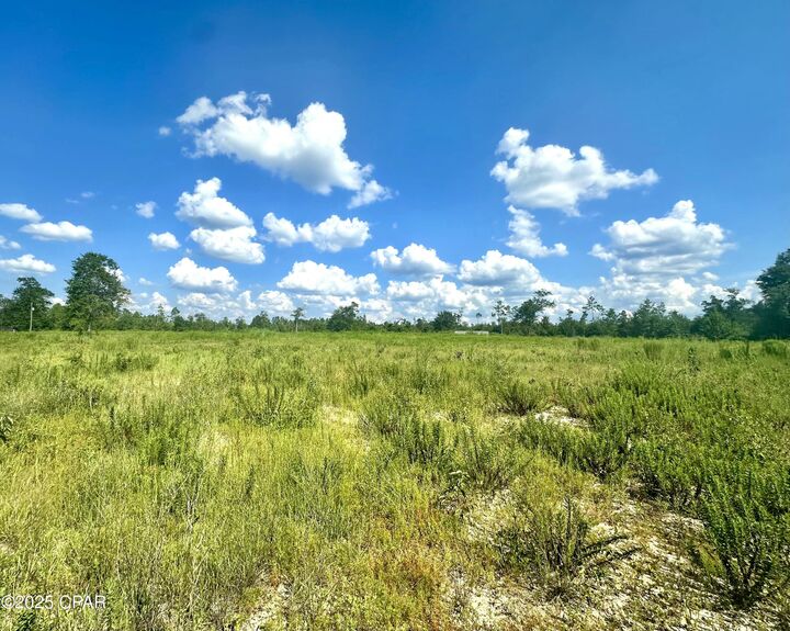 Property Photo: 12810 Hwy 231 FL 32466