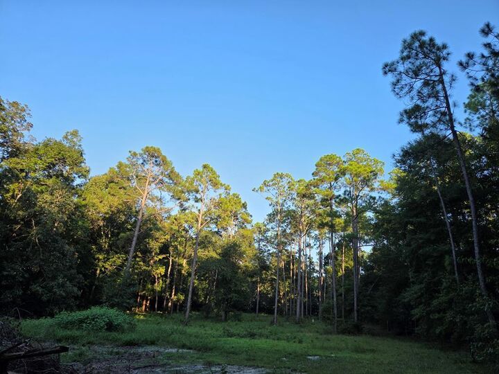 Property Photo: 000 Lakeshore Way GA 31015