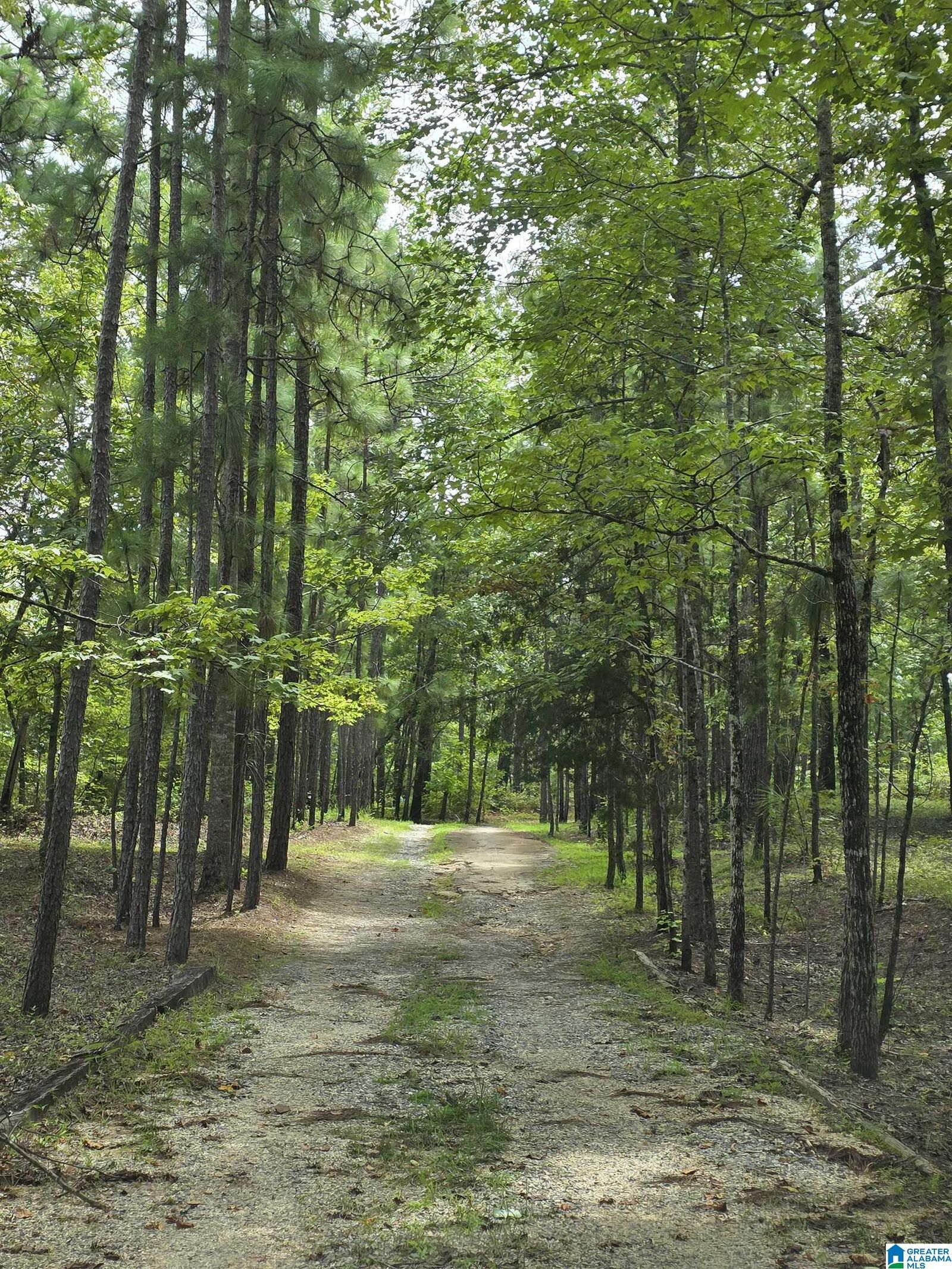 Property Photo: 3004 Rocky Mount Church Road AL 35160