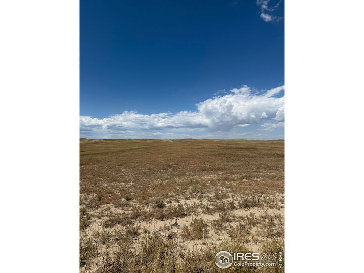 Property Photo:  3 County Road 15  CO 80612 