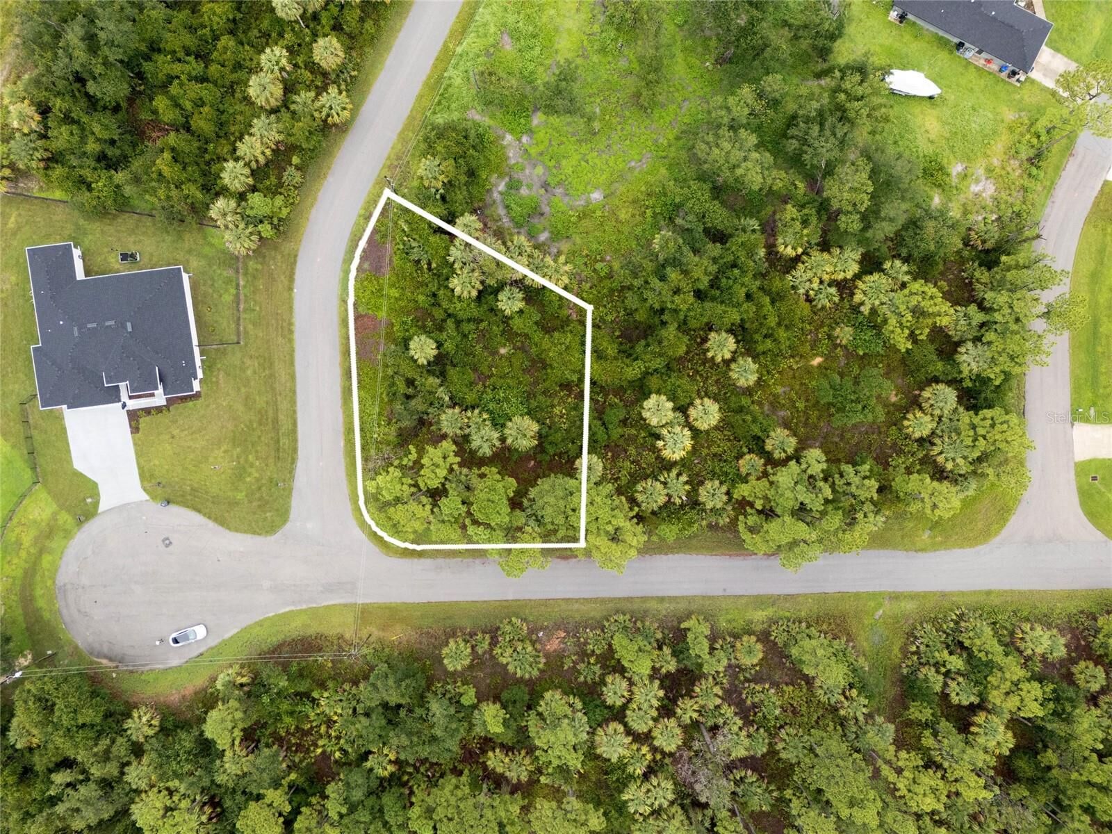 Property Photo: Clattleya Avenue FL 34288