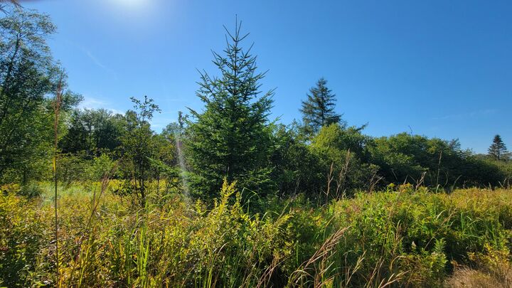 Property Photo: Lot 23 Bay Road ME 04648