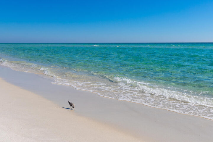Property Photo:  7979 Gulf Boulevard 141  FL 32566 