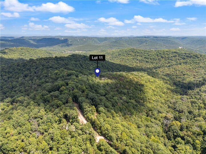 Cr-206  Eureka Springs AR 72632 photo