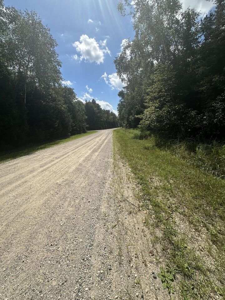 Property Photo: Lot 876 Cedarbrook Drive MI 48750