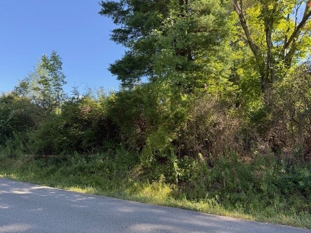 54 Evelien Hill Road  Owego NY 13827 photo