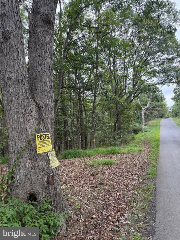 Property Photo: 40.15 Acres Middle Ridge Road WV 26757