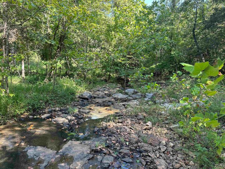 Property Photo: 000 63 Highway AR 72542
