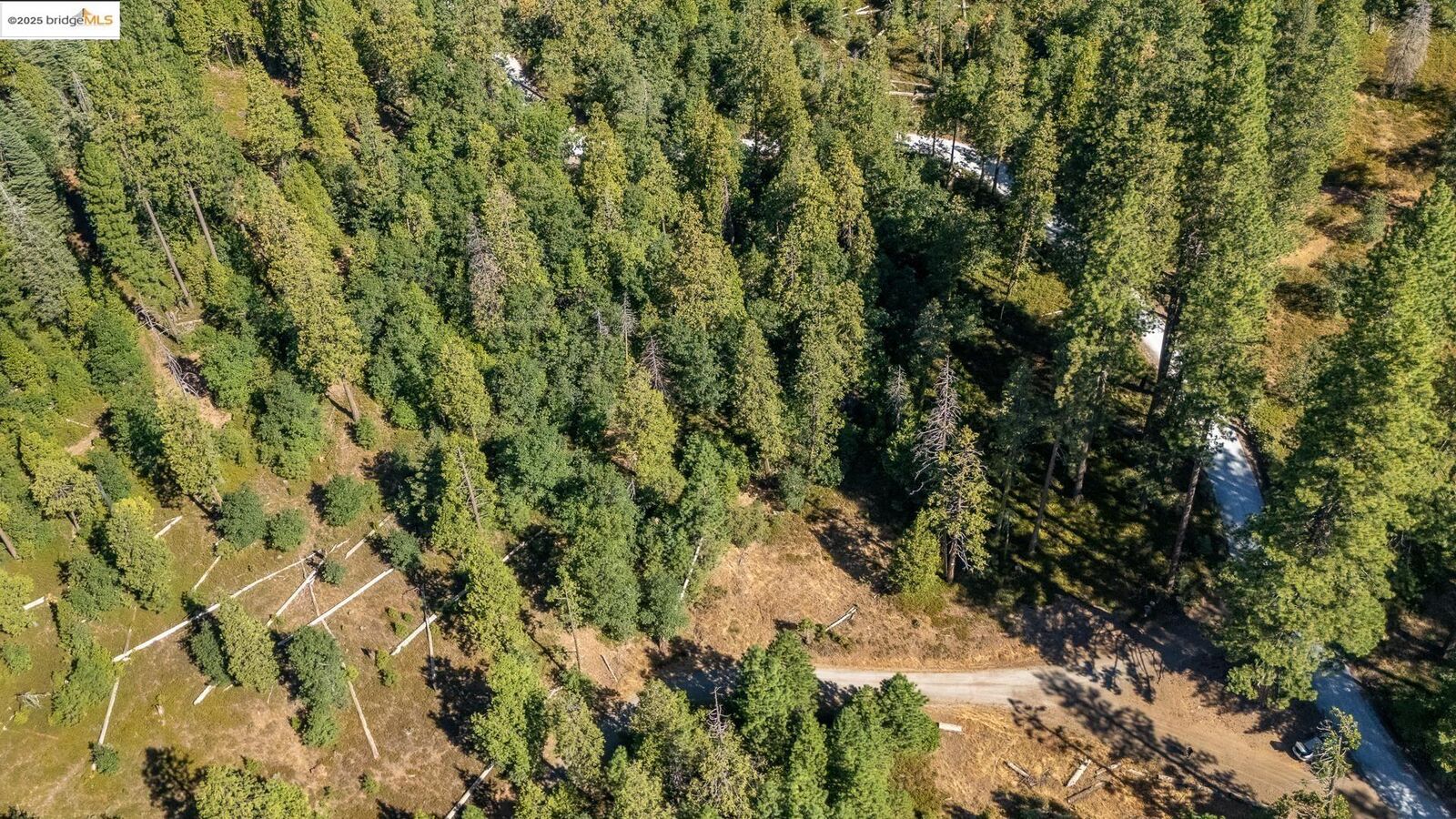 Property Photo: 24840 Bottini Apple Ranch Rd CA 95346