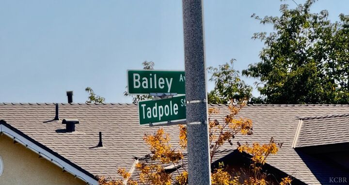 Property Photo:  30912 Tadpole  CA 93291 