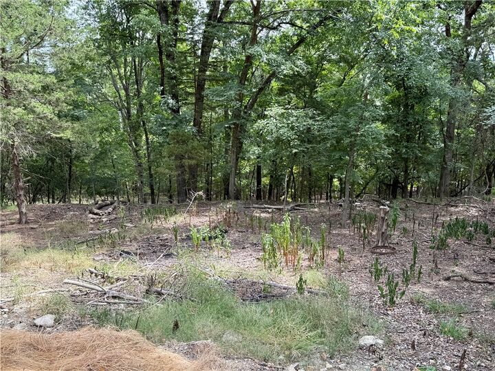 Property Photo: Hickory Drive AR 72732