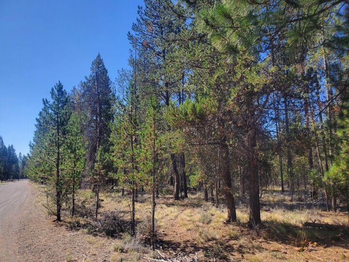 Property Photo: 15734 Paulina Avenue OR 97739