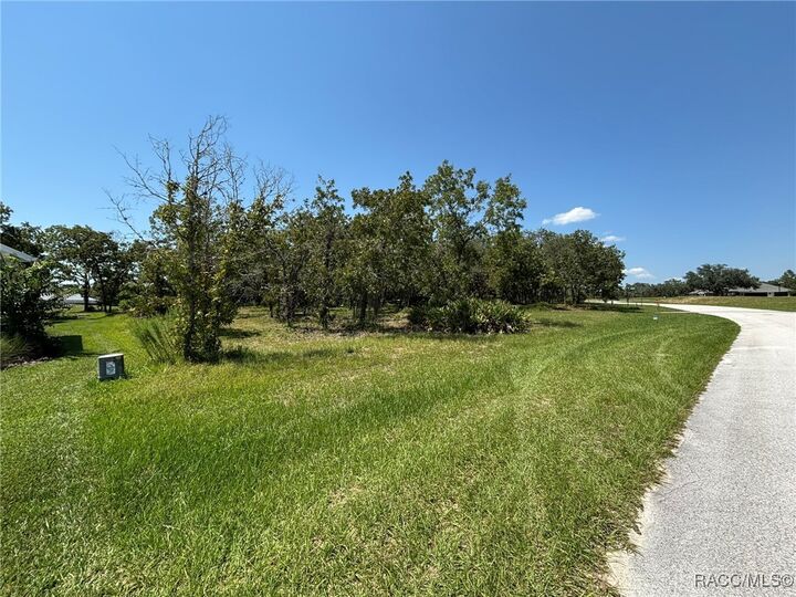 Property Photo: 60 Woodfield Circle FL 34446