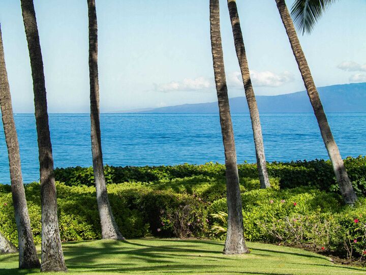 Property Photo:  3146 S Kihei Rd  HI 96753 