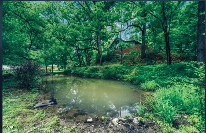 Property Photo: 3909 Henry Town Road TN 37876