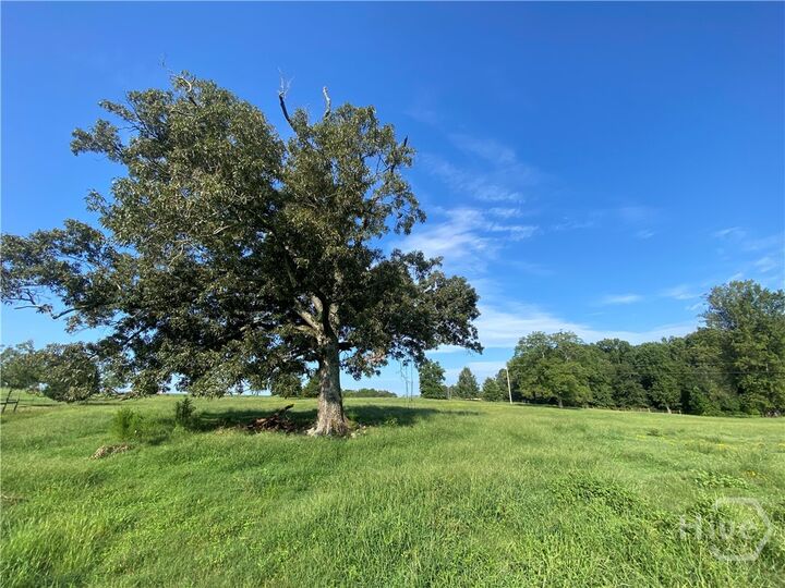 Property Photo:  2223 Salem Road  GA 30677