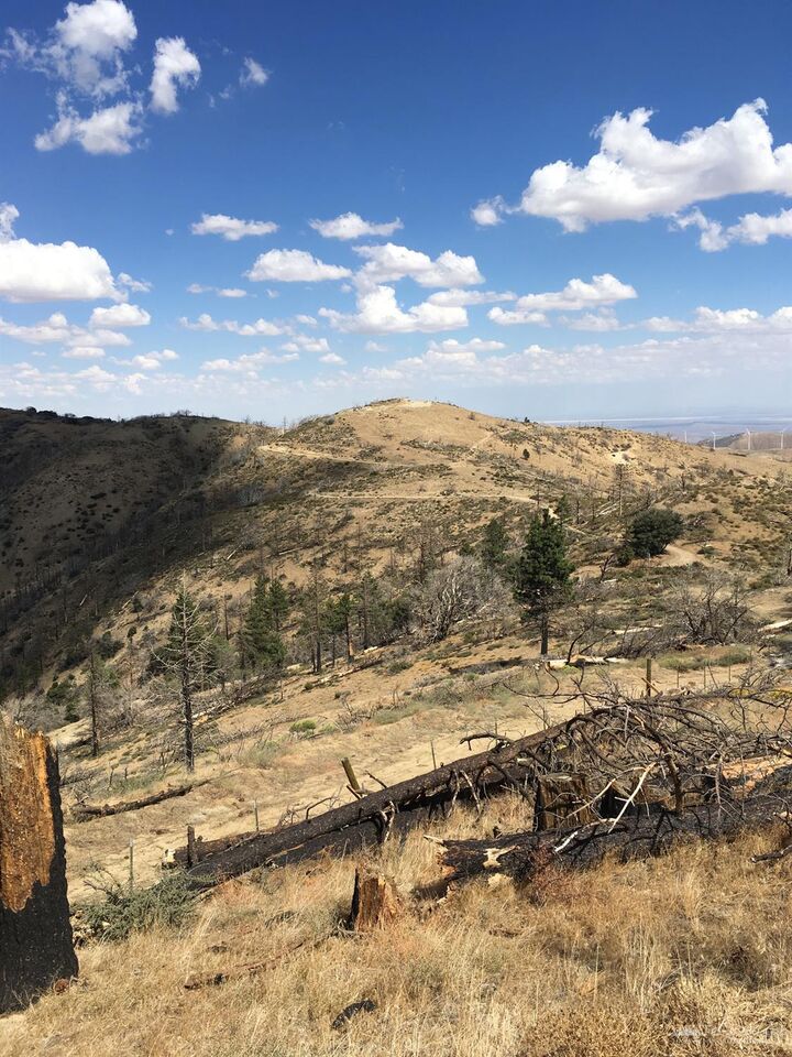 Property Photo:  0 Wild Horse Road  CA 93561 