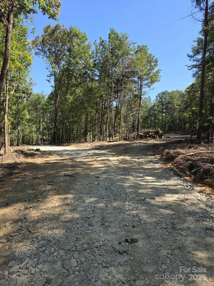 Property Photo:  V/L W V Thompson Road 3  NC 28139 