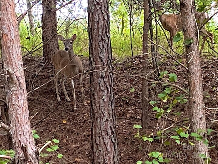 4 &Amp 6 Waterford Court  Granite Falls NC 28630 photo