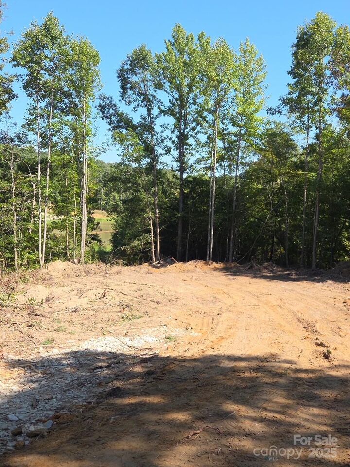 Property Photo:  V/L W V Thompson Road 4  NC 28139 