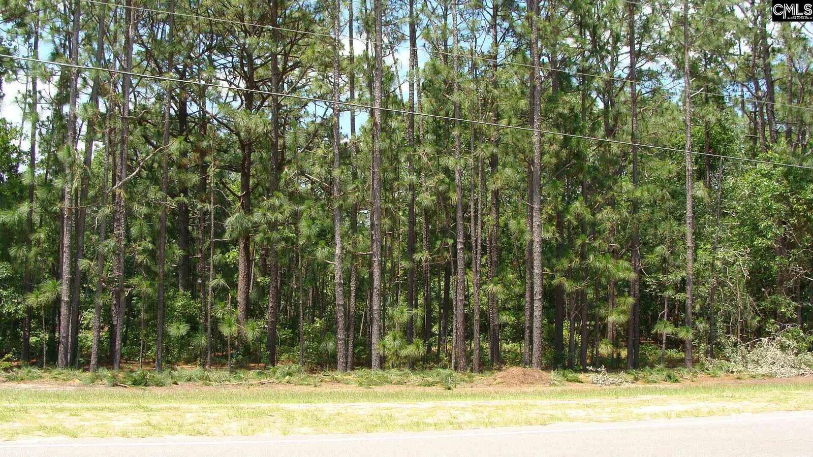 Property Photo: 822 Meadowfield SC 29053