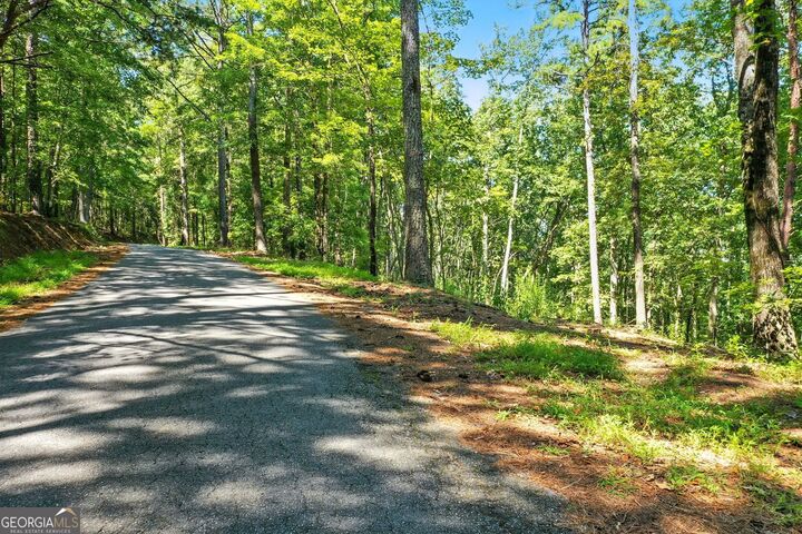Property Photo: 0 Debord Drive GA 30183