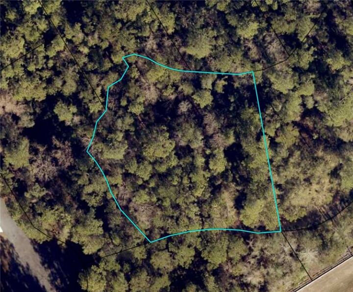 Property Photo:  00 Canoe Run  GA 31569 