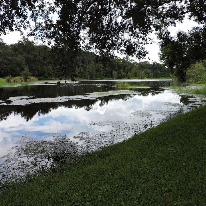 Property Photo: 2312 Hillside Drive FL 32757