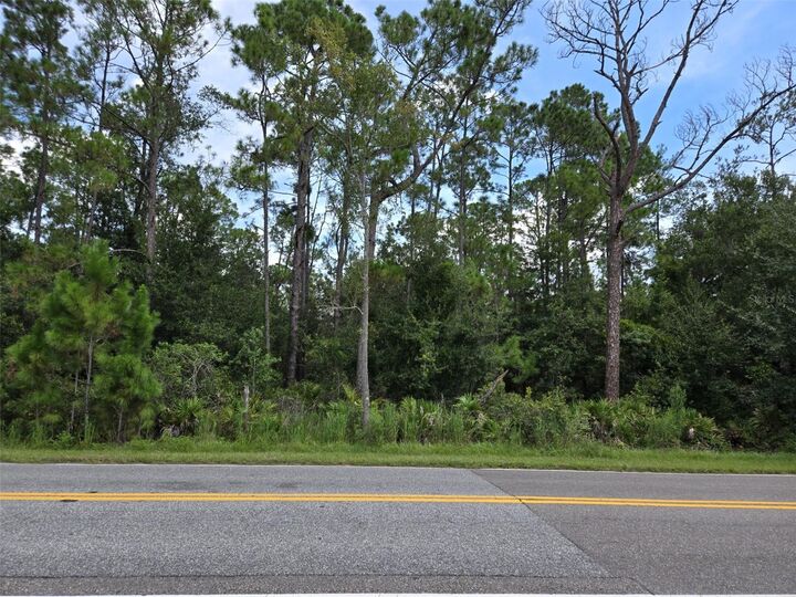 Property Photo:  13887 Reams Road  FL 34786 