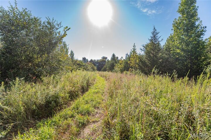 14585 State Route B  St James MO 65559 photo