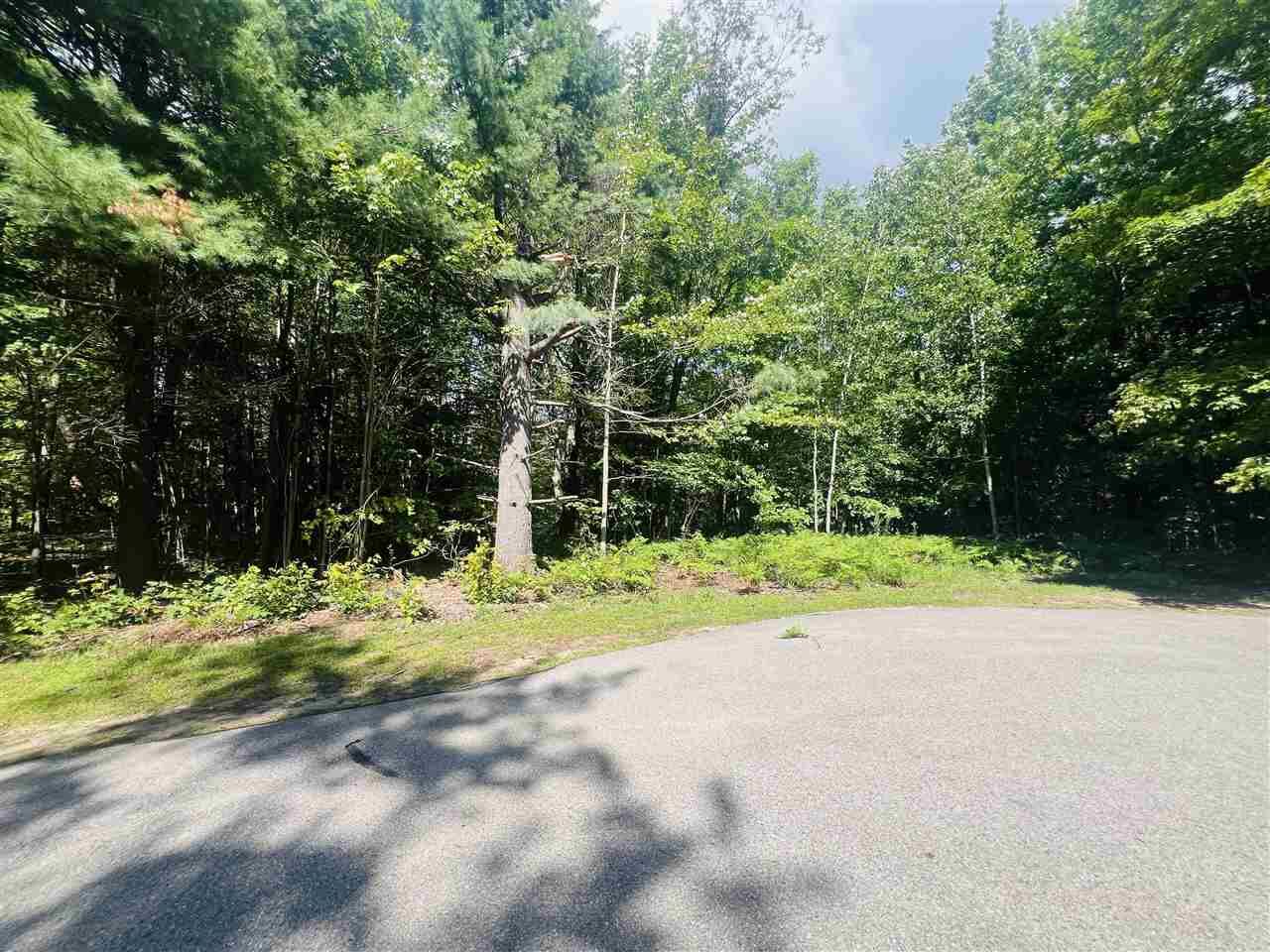 Property Photo: 8911 Spring Ridge MI 49770