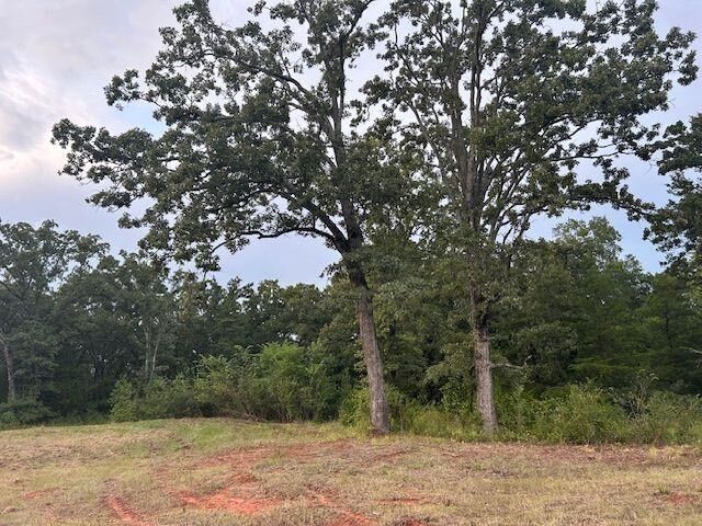 Property Photo:  Tbd W Hwy 80  TX 75773 